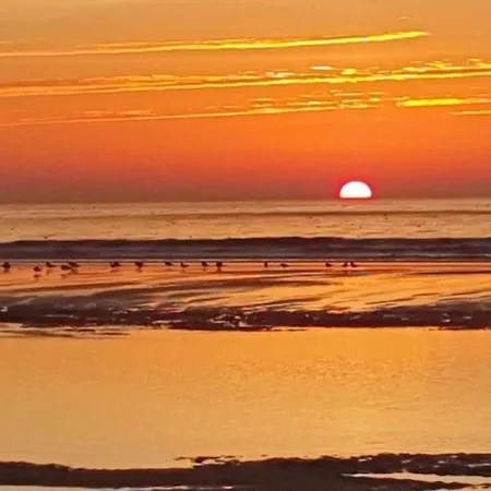 Escale Douceur A * Camiers